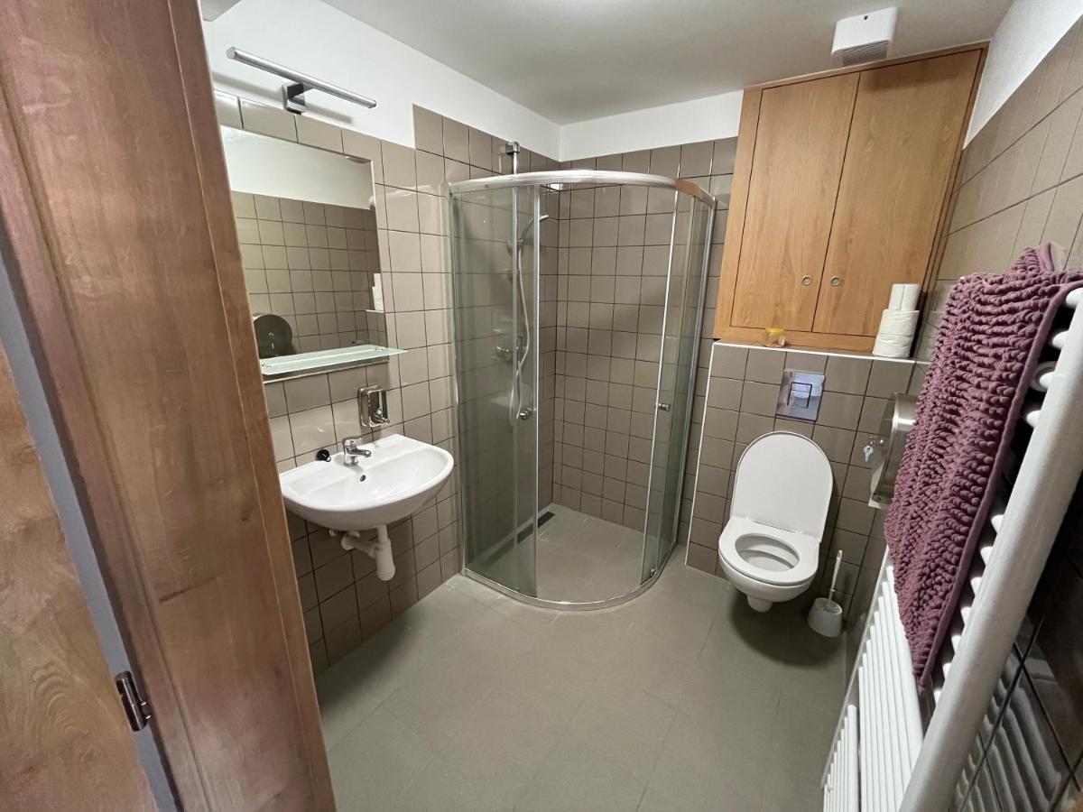 Apartmany Pod Vezi Borovany Borovany  Buitenkant foto